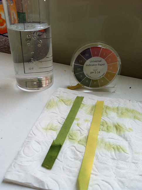 Testing pH level after Power Flush